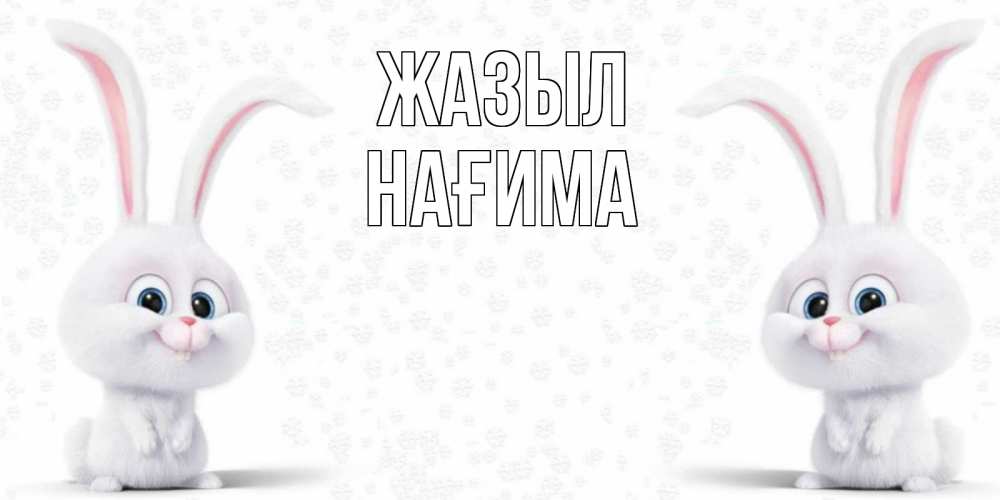 Күн сайын ашық хат с именем, НАҒИМА Жазыл не болей с зайцем Онлайн тегін жүктеп алу тілектері бар керемет карта 