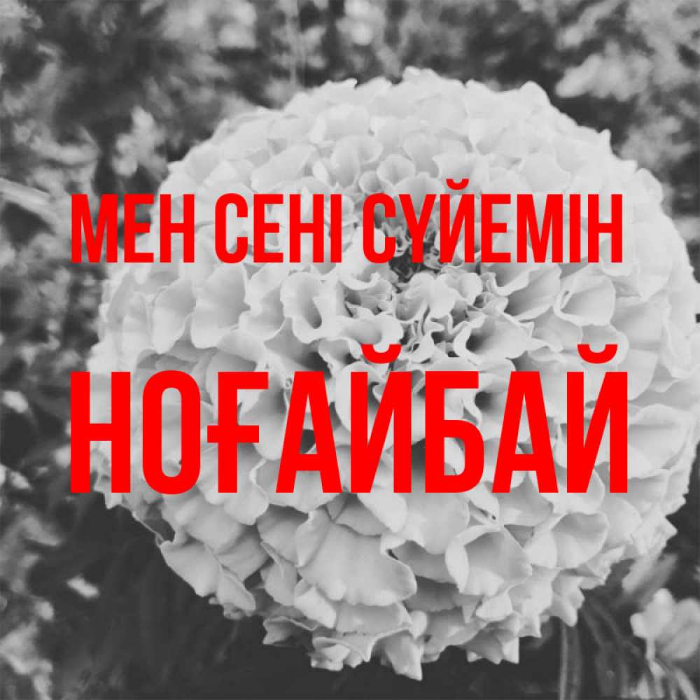 Күн сайын ашық хат с именем, НОҒАЙБАЙ Мен сені сүйемін подпись Онлайн тегін жүктеп алу тілектері бар керемет карта 