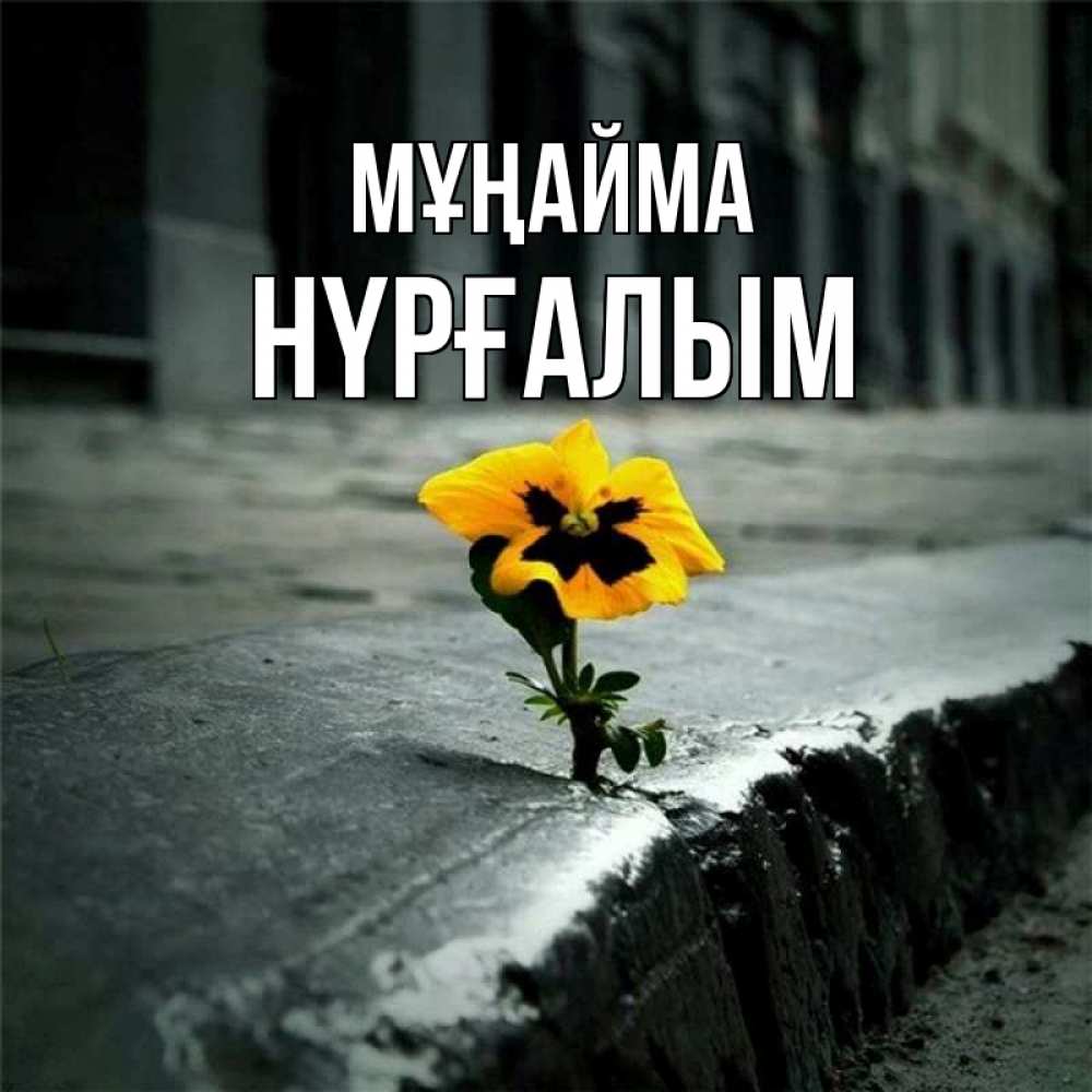 Күн сайын ашық хат с именем, НҮРҒАЛЫМ Мұңайма не сдавайся Онлайн тегін жүктеп алу тілектері бар керемет карта 