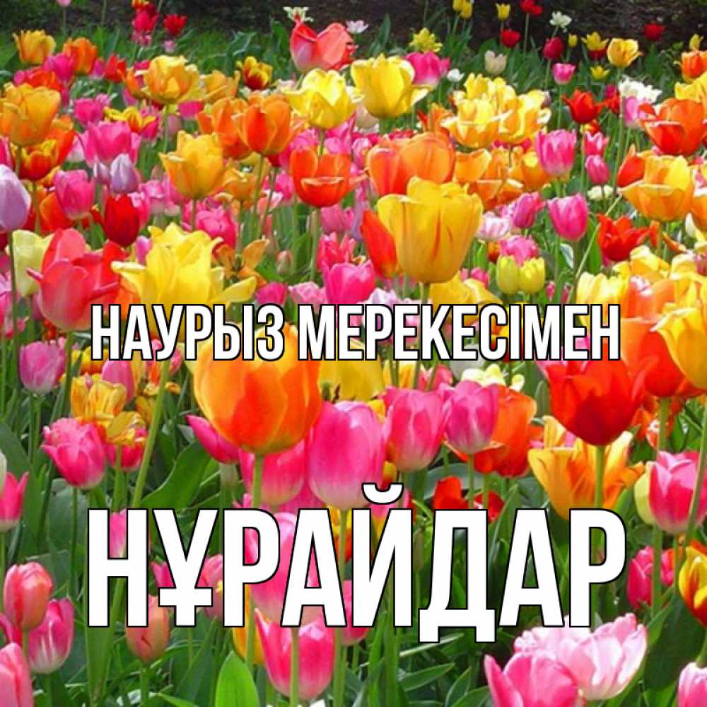 Күн сайын ашық хат с именем, НҰРАЙДАР Наурыз мерекесімен праздник весны наурыз 4 Онлайн тегін жүктеп алу тілектері бар керемет карта 