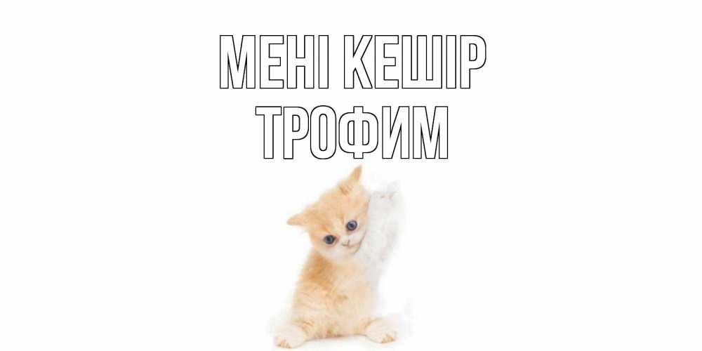 Күн сайын ашық хат с именем, Трофим Мені кешір кот Онлайн тегін жүктеп алу тілектері бар керемет карта 