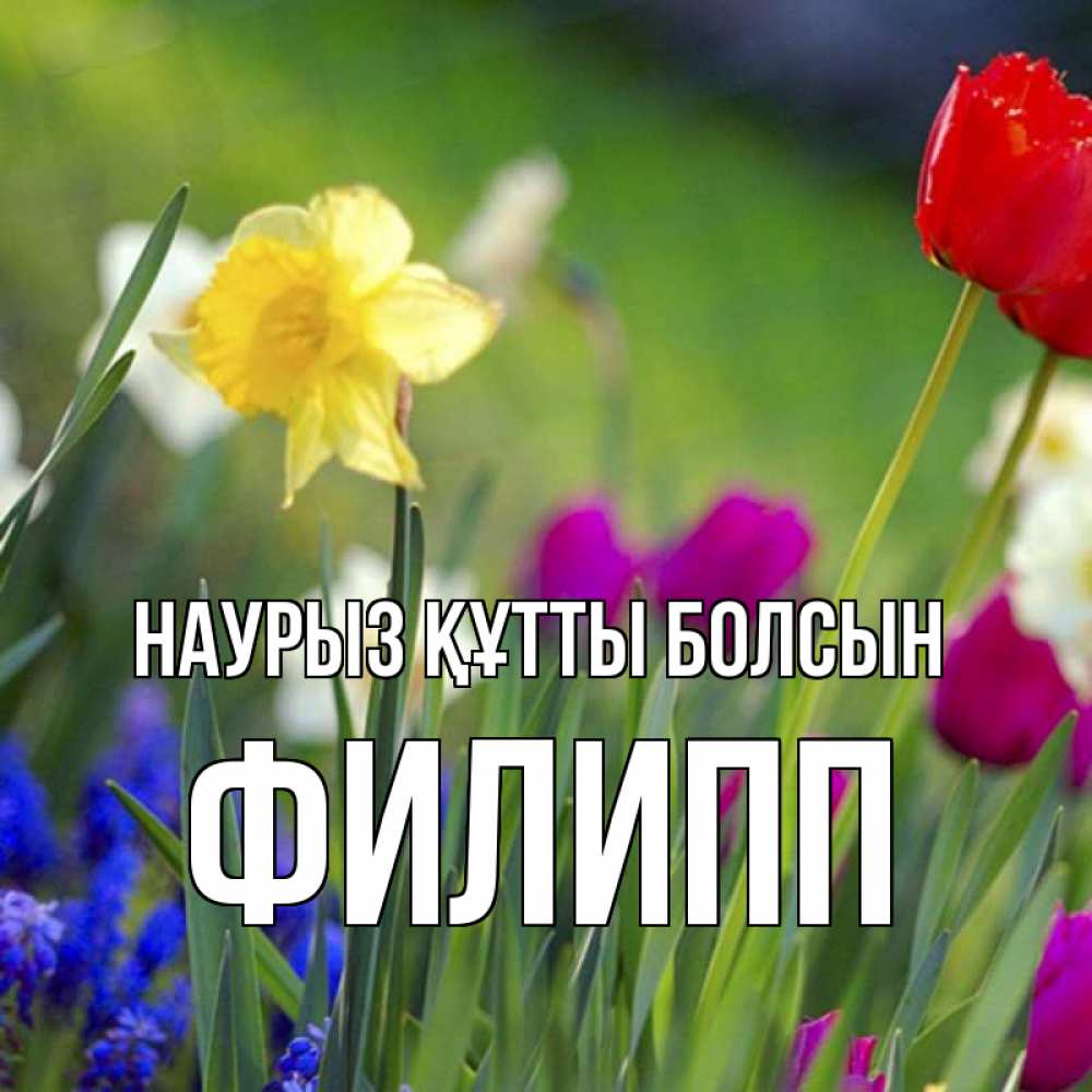 Күн сайын ашық хат с именем, Филипп Наурыз құтты болсын наурыз  3 открытки Онлайн тегін жүктеп алу тілектері бар керемет карта 