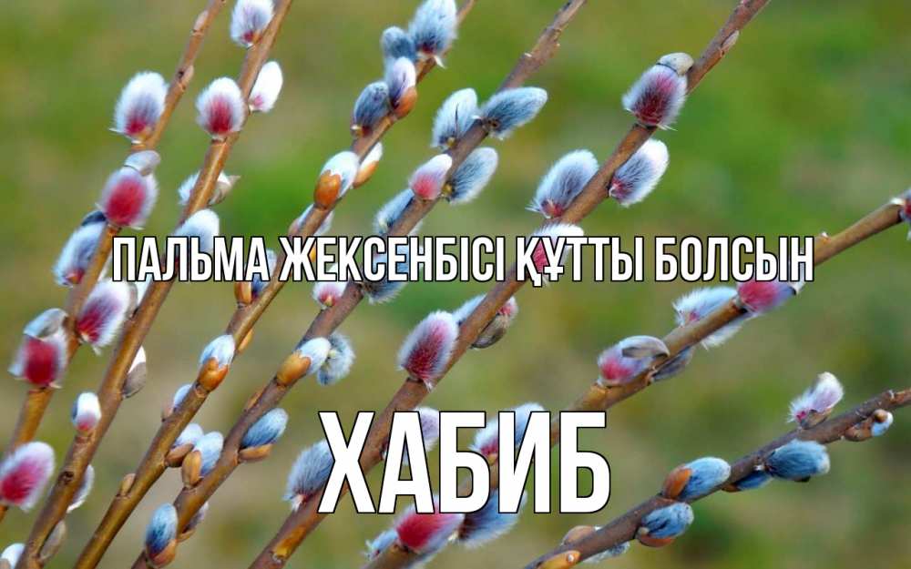 Күн сайын ашық хат с именем, ХАБИБ Пальма жексенбісі құтты болсын верба Онлайн тегін жүктеп алу тілектері бар керемет карта 