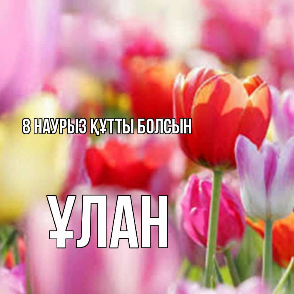 Күн сайын ашық хат с именем, ҰЛАН 8 наурыз құтты болсын на международный женский день 2 Онлайн тегін жүктеп алу тілектері бар керемет карта 
