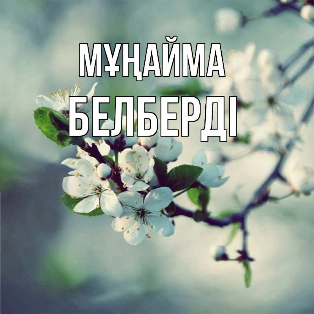 Күн сайын ашық хат с именем, Белберді Мұңайма яблоня в цвету 1 Онлайн тегін жүктеп алу тілектері бар керемет карта 