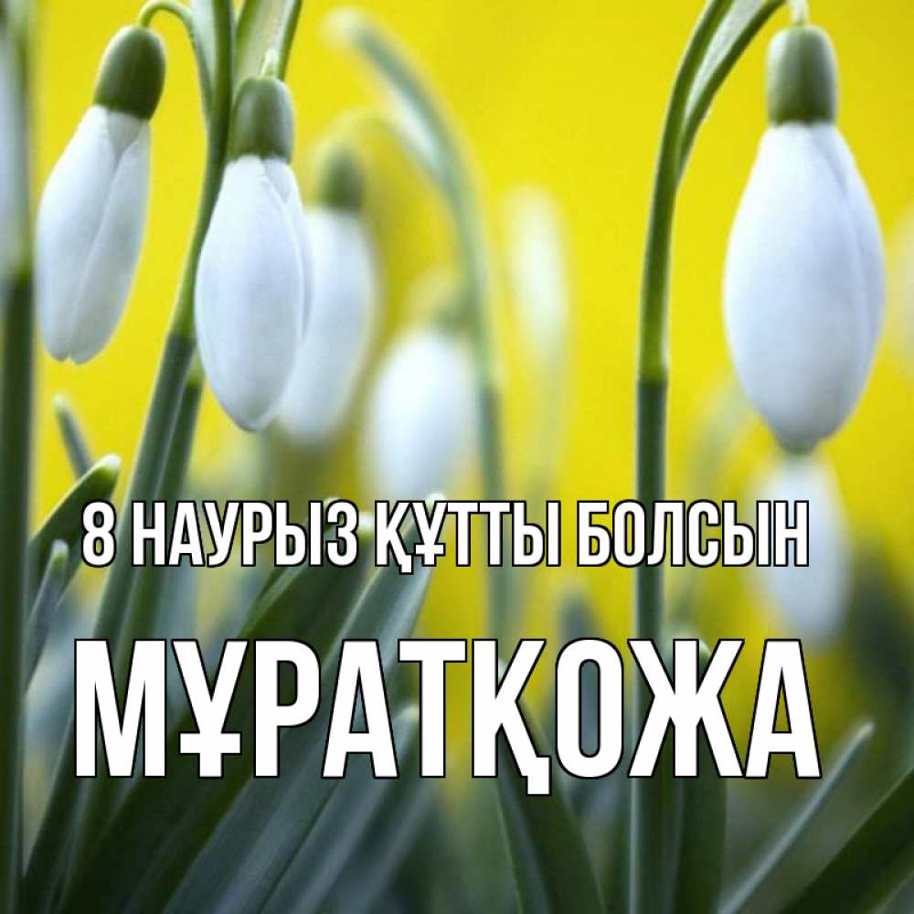 Күн сайын ашық хат с именем, Мұратқожа 8 наурыз құтты болсын весенние цветы Онлайн тегін жүктеп алу тілектері бар керемет карта 