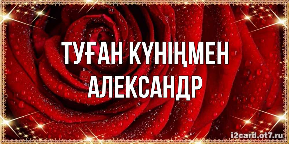 Күн сайын ашық хат с именем, Александр Туған күніңмен роса на розе блестящая в лучах солнца Онлайн тегін жүктеп алу тілектері бар керемет карта 