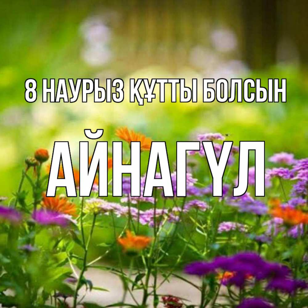 Күн сайын ашық хат с именем, АЙНАГҮЛ 8 наурыз құтты болсын цветы Онлайн тегін жүктеп алу тілектері бар керемет карта 