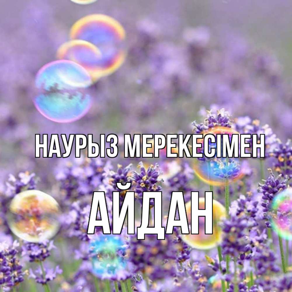 Күн сайын ашық хат с именем, Айдан Наурыз мерекесімен цветы Онлайн тегін жүктеп алу тілектері бар керемет карта 
