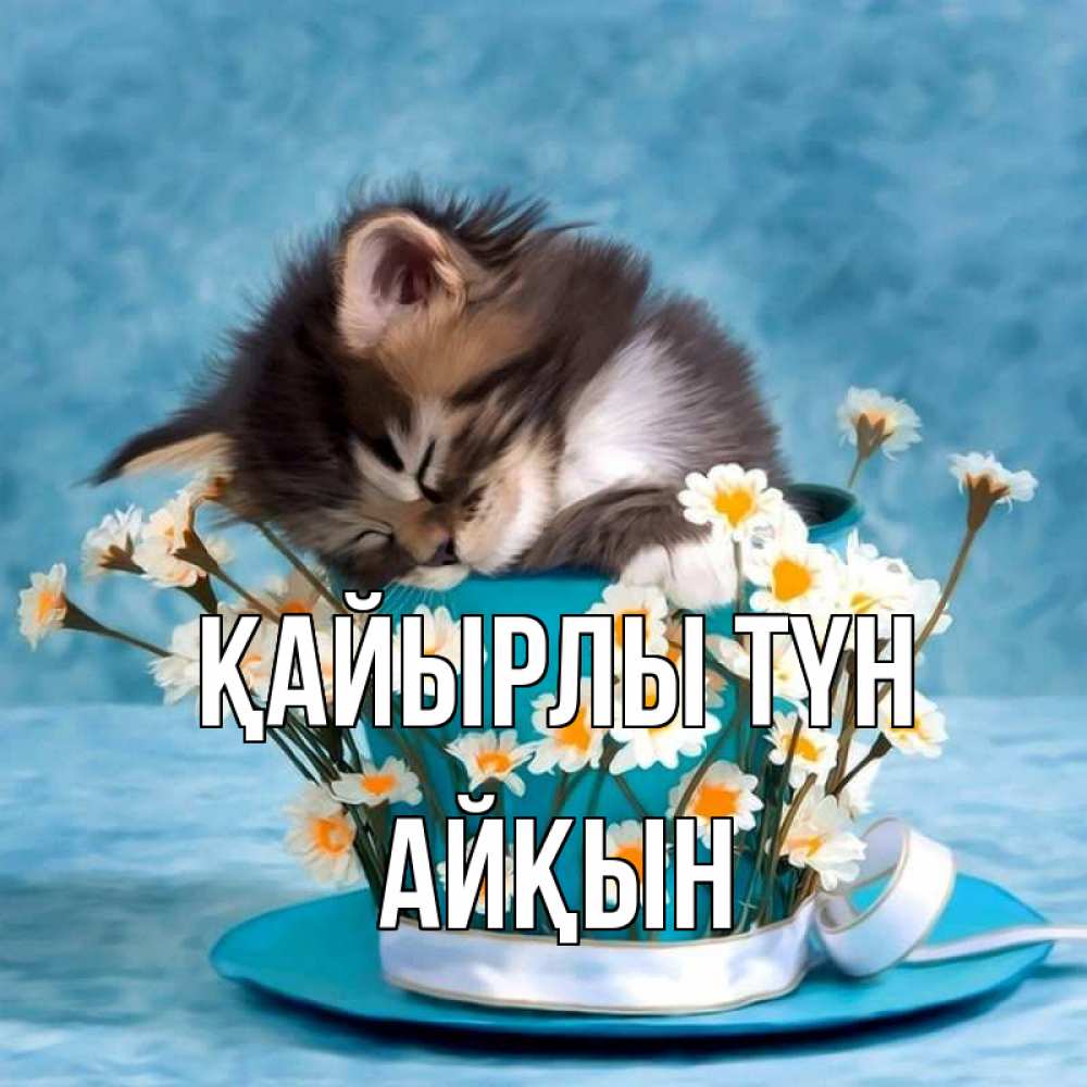 Күн сайын ашық хат с именем, Айқын Қайырлы түн котенок спит в кружке с блюдцем Онлайн тегін жүктеп алу тілектері бар керемет карта 