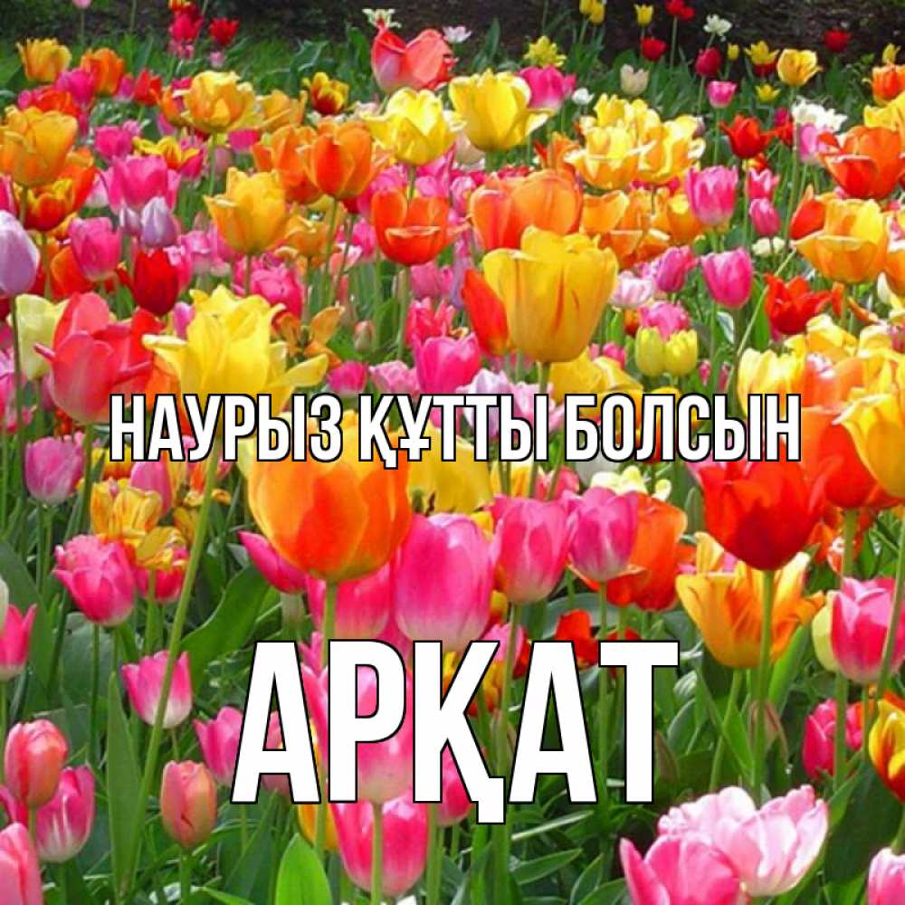 Күн сайын ашық хат с именем, Арқат Наурыз құтты болсын на наурыз  ура ура Онлайн тегін жүктеп алу тілектері бар керемет карта 