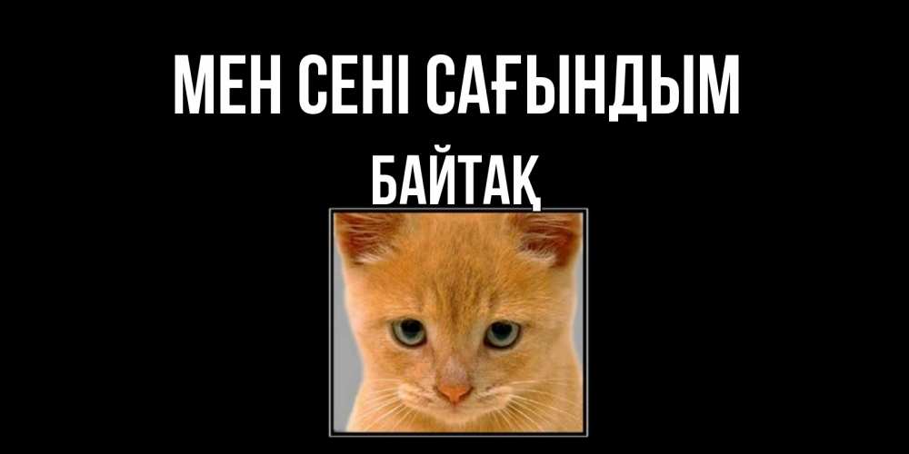Күн сайын ашық хат с именем, Байтақ Мен сені сағындым открытки рыжий котенок скучает по тебе Онлайн тегін жүктеп алу тілектері бар керемет карта 