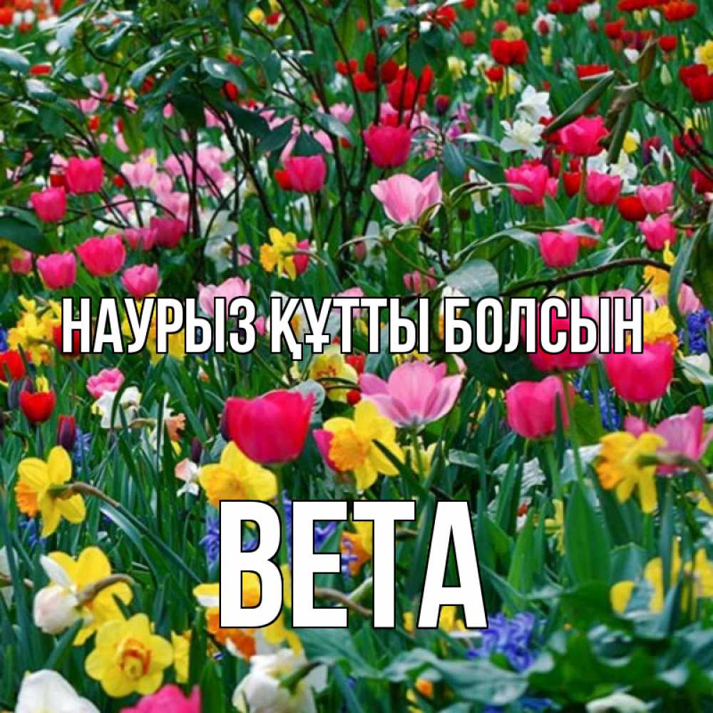 Күн сайын ашық хат с именем, Вета Наурыз құтты болсын с наурызом поздравления для женщины Онлайн тегін жүктеп алу тілектері бар керемет карта 