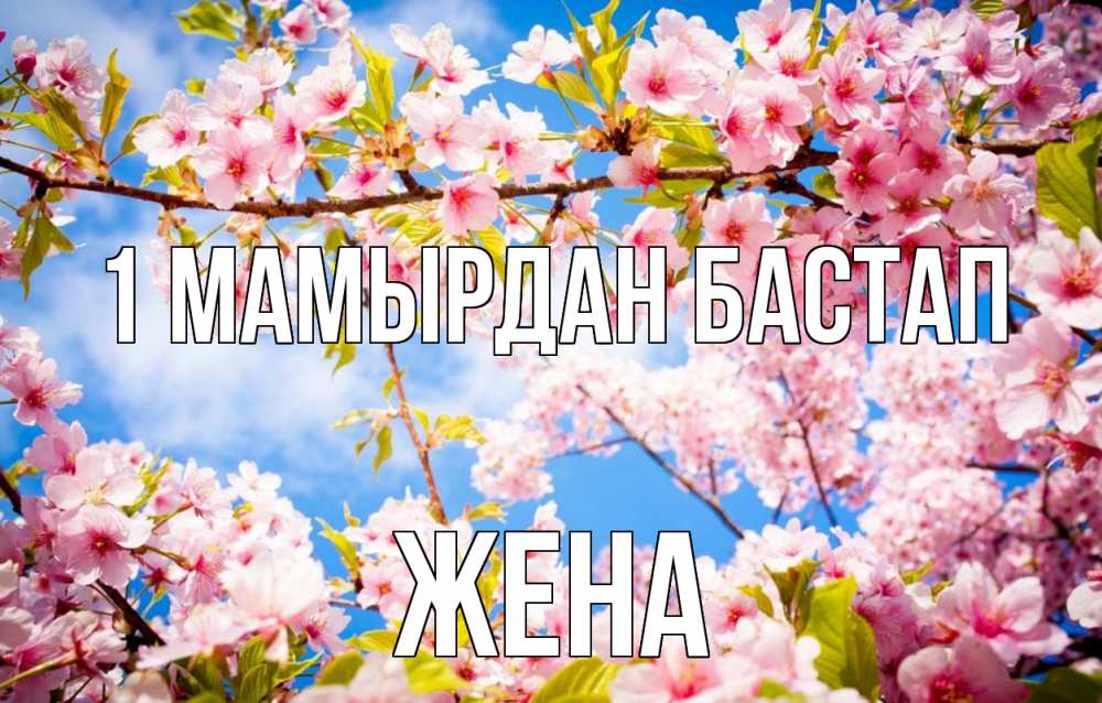 Күн сайын ашық хат с именем, Жена 1 мамырдан бастап С 1 мая Онлайн тегін жүктеп алу тілектері бар керемет карта 