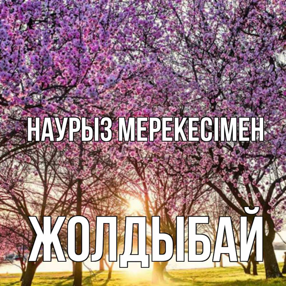 Күн сайын ашық хат с именем, Жолдыбай Наурыз мерекесімен праздник весны наурыз Онлайн тегін жүктеп алу тілектері бар керемет карта 