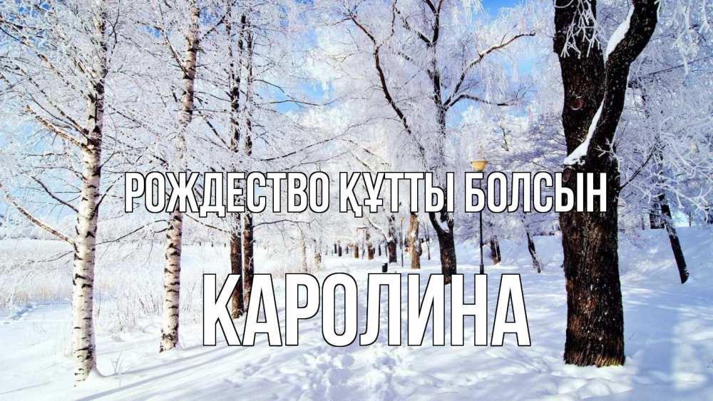 Күн сайын ашық хат с именем, Каролина Рождество құтты болсын зимний лес Онлайн тегін жүктеп алу тілектері бар керемет карта 