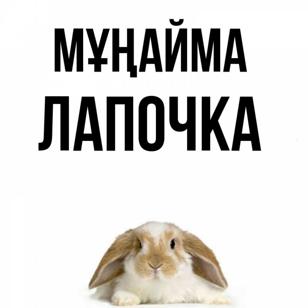Күн сайын ашық хат с именем, Лапочка Мұңайма коричнево белый заяц с большими ушками Онлайн тегін жүктеп алу тілектері бар керемет карта 
