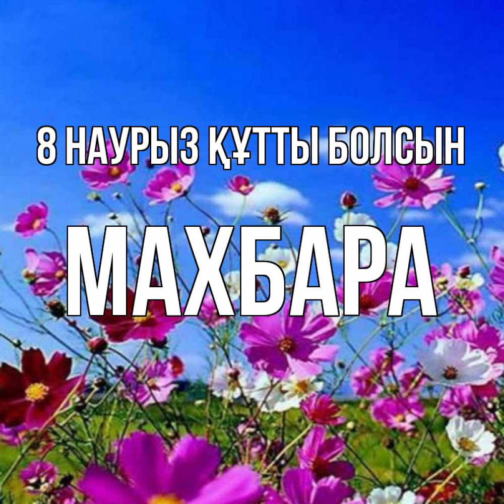 Күн сайын ашық хат с именем, МАХБАРА 8 наурыз құтты болсын цветы Онлайн тегін жүктеп алу тілектері бар керемет карта 