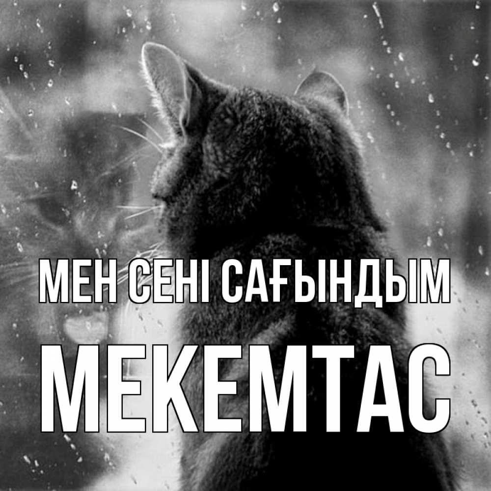 Күн сайын ашық хат с именем, МЕКЕМТАС Мен сені сағындым скорее ко мне приходи 1 Онлайн тегін жүктеп алу тілектері бар керемет карта 