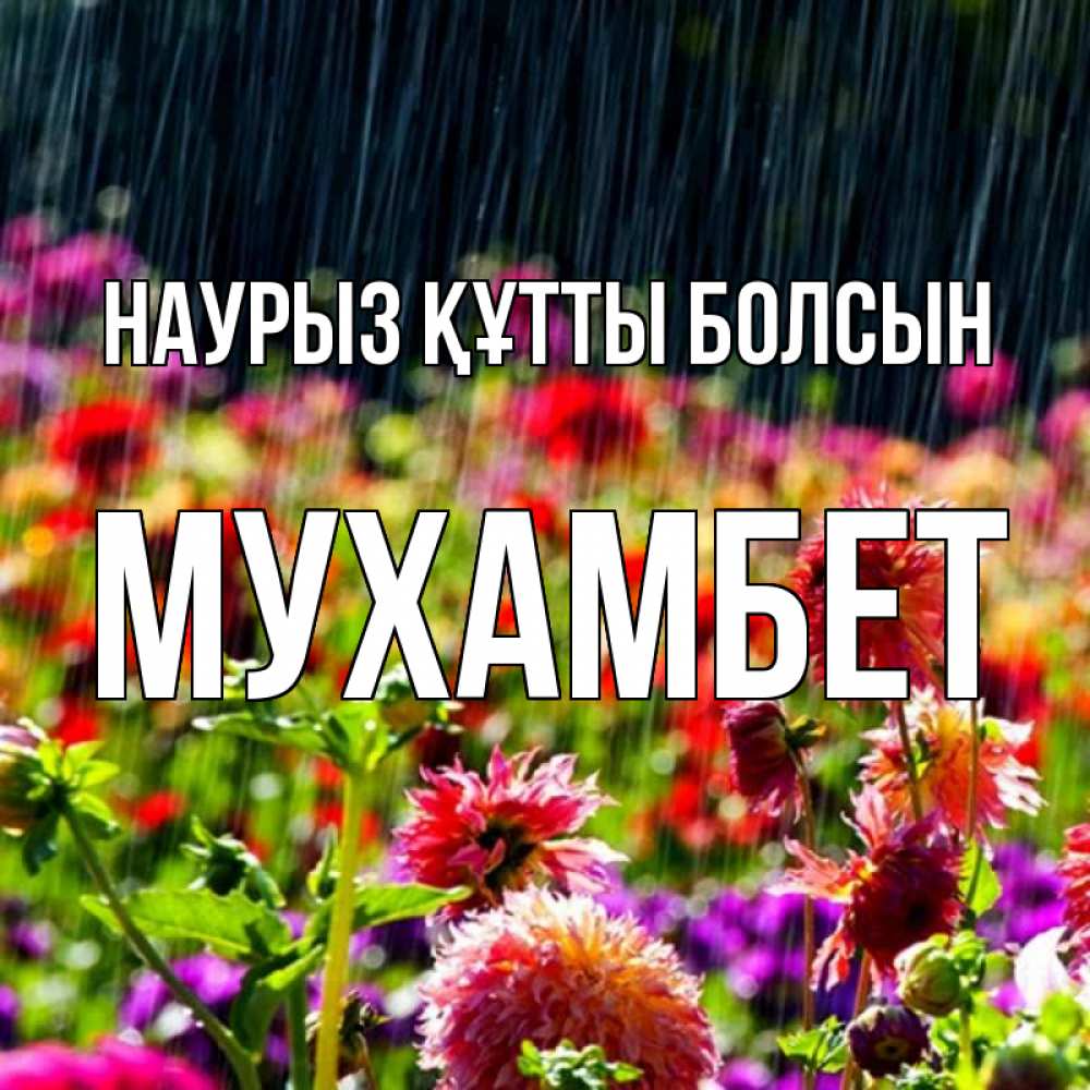 Күн сайын ашық хат с именем, МУХАМБЕТ Наурыз құтты болсын цветы под дождиком к наурызу Онлайн тегін жүктеп алу тілектері бар керемет карта 
