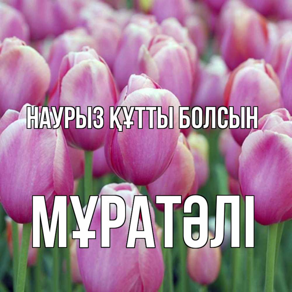 Күн сайын ашық хат с именем, Мұратәлі Наурыз құтты болсын на наурыз  день 3 Онлайн тегін жүктеп алу тілектері бар керемет карта 