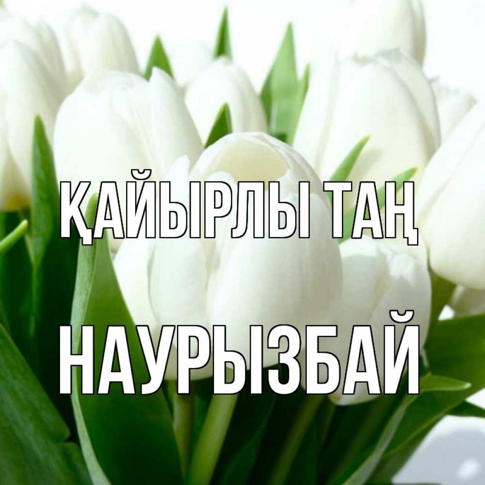 Күн сайын ашық хат с именем, Наурызбай Қайырлы таң открытки на каждый день по именам Онлайн тегін жүктеп алу тілектері бар керемет карта 
