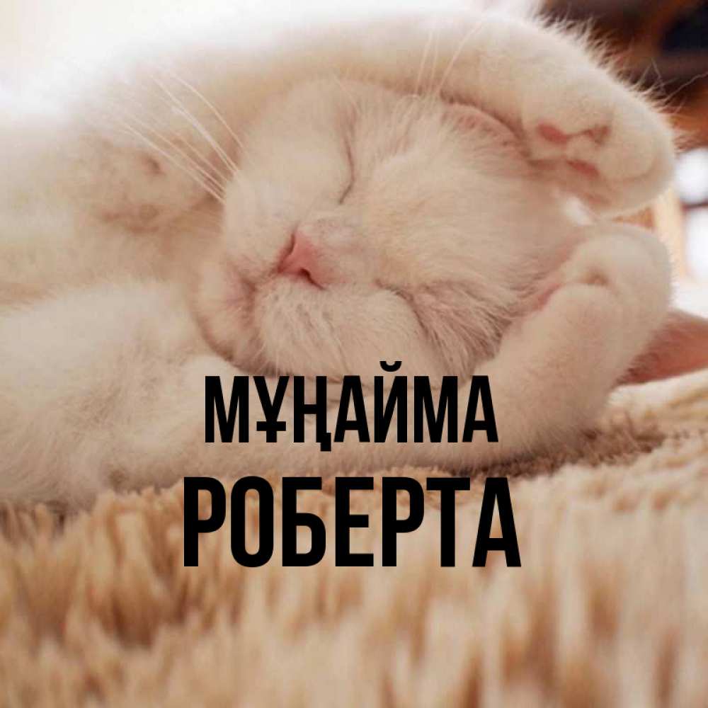 Күн сайын ашық хат с именем, Роберта Мұңайма Котенок спит Онлайн тегін жүктеп алу тілектері бар керемет карта 