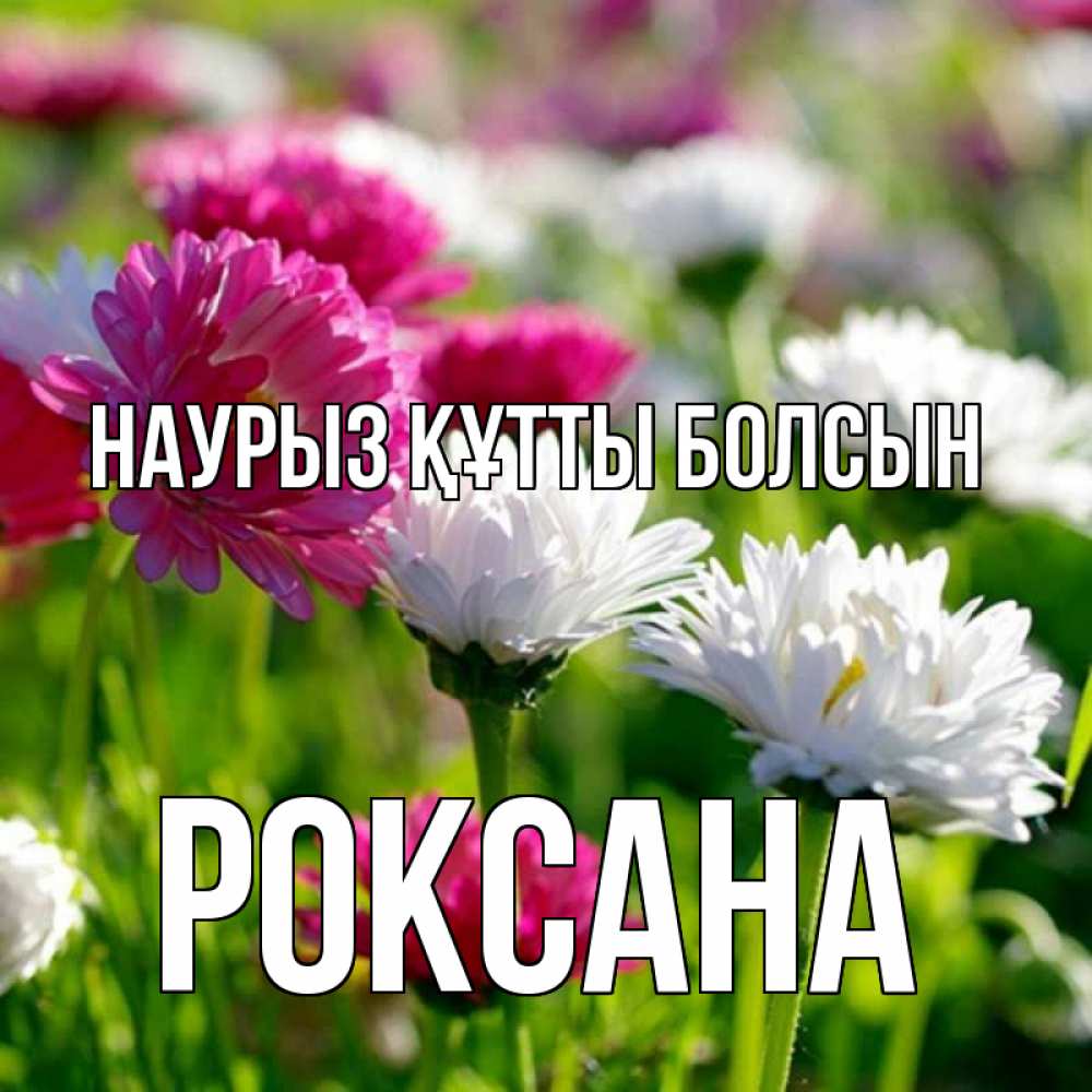 Күн сайын ашық хат с именем, Роксана Наурыз құтты болсын наурыз Онлайн тегін жүктеп алу тілектері бар керемет карта 