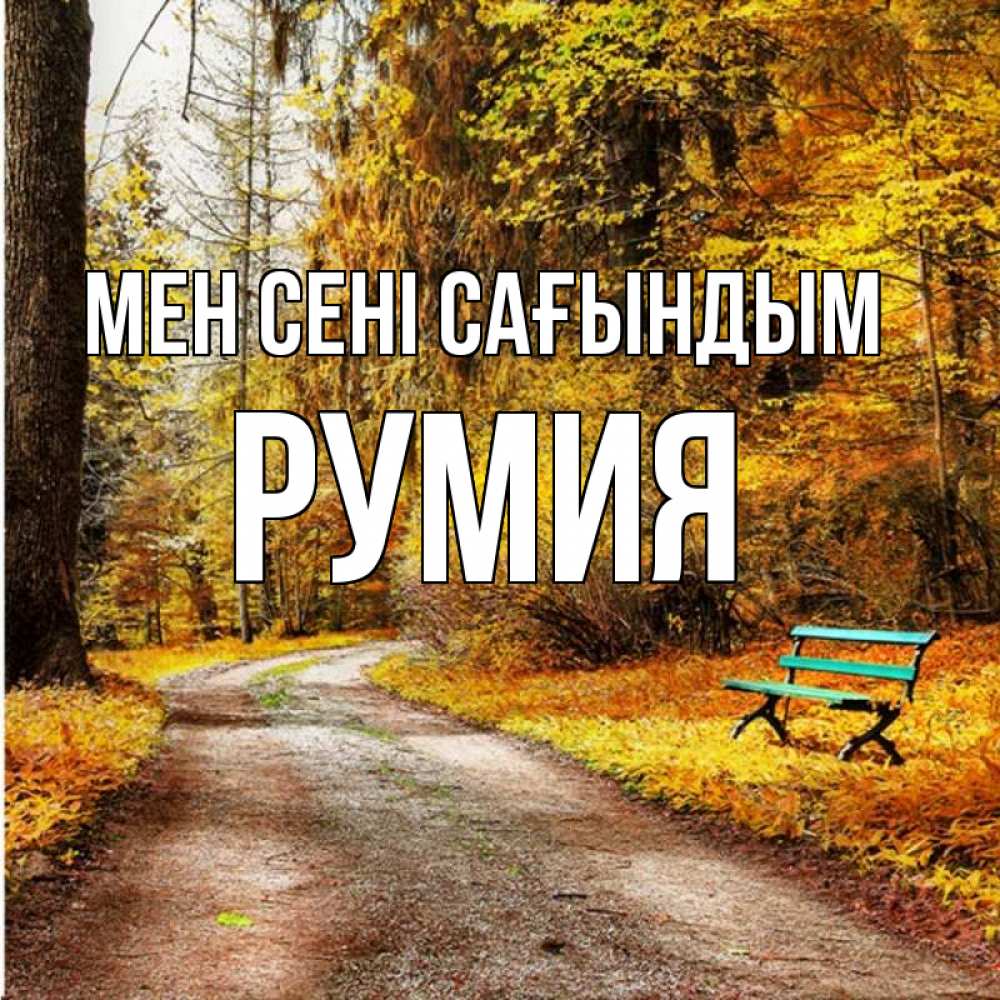 Күн сайын ашық хат с именем, Румия Мен сені сағындым зеленая лавочка и осенний лес Онлайн тегін жүктеп алу тілектері бар керемет карта 