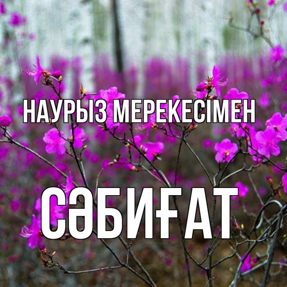 Күн сайын ашық хат с именем, СӘБИҒАТ Наурыз мерекесімен дикие цветы Онлайн тегін жүктеп алу тілектері бар керемет карта 