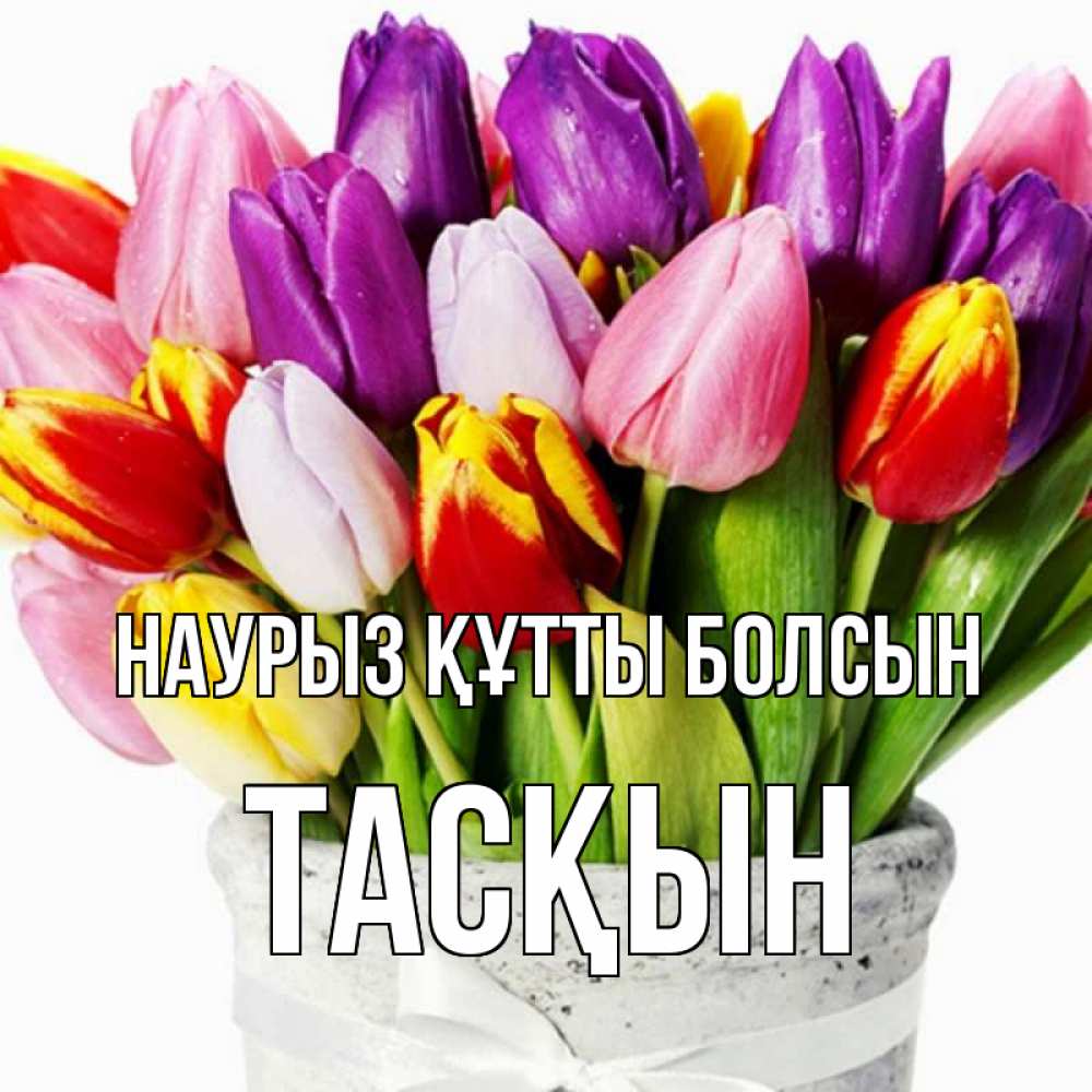 Күн сайын ашық хат с именем, ТАСҚЫН Наурыз құтты болсын букет Онлайн тегін жүктеп алу тілектері бар керемет карта 