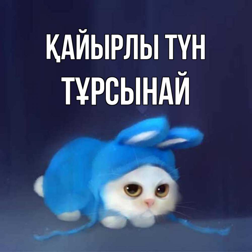 Күн сайын ашық хат с именем, ТҰРСЫНАЙ Қайырлы түн кот в голубом костюме кролика с ушками Онлайн тегін жүктеп алу тілектері бар керемет карта 