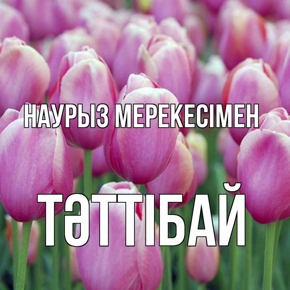 Күн сайын ашық хат с именем, ТӘТТІБАЙ Наурыз мерекесімен праздник весны наурыз 69 Онлайн тегін жүктеп алу тілектері бар керемет карта 