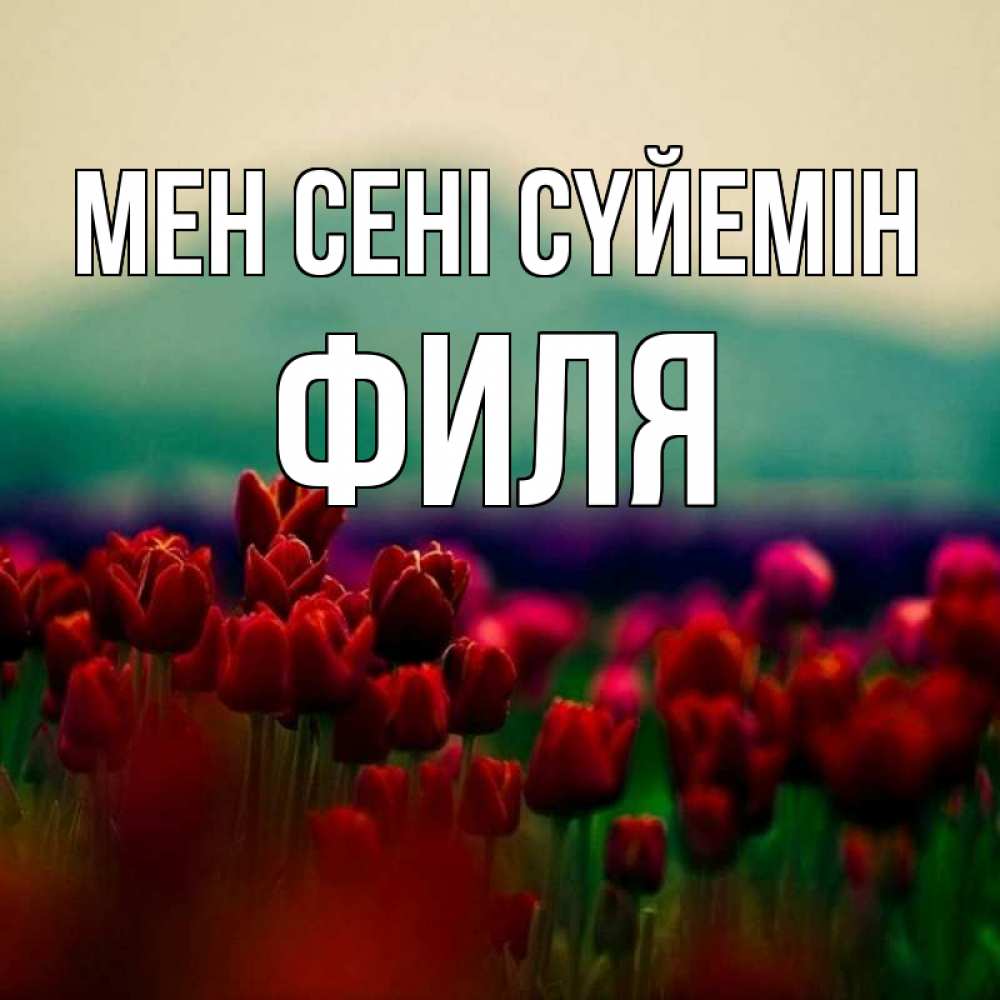 Күн сайын ашық хат с именем, Филя Мен сені сүйемін тюльпаны 4 Онлайн тегін жүктеп алу тілектері бар керемет карта 