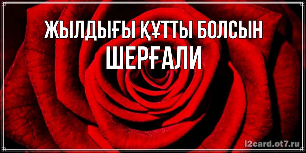Күн сайын ашық хат с именем, ШЕРҒАЛИ Жылдығы құтты болсын алая роза Онлайн тегін жүктеп алу тілектері бар керемет карта 