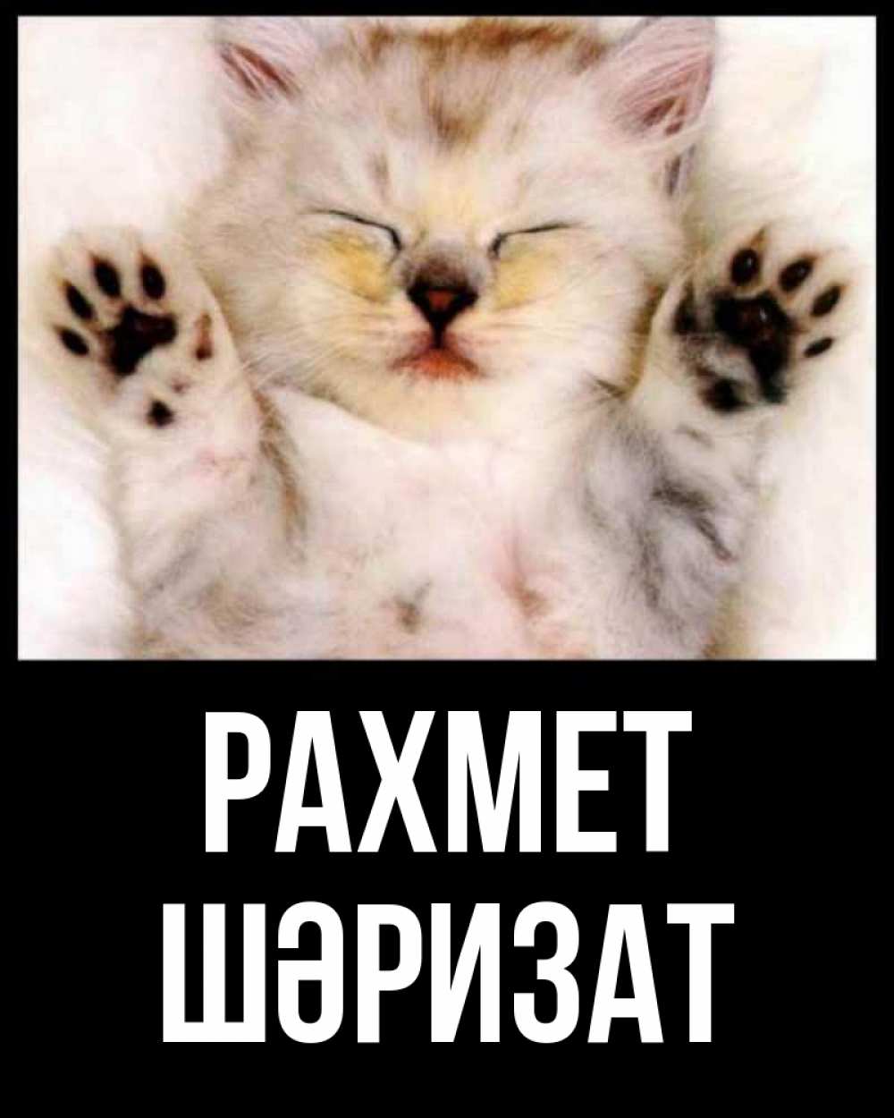 Күн сайын ашық хат с именем, ШӘРИЗАТ рахмет маленький котенок Онлайн тегін жүктеп алу тілектері бар керемет карта 