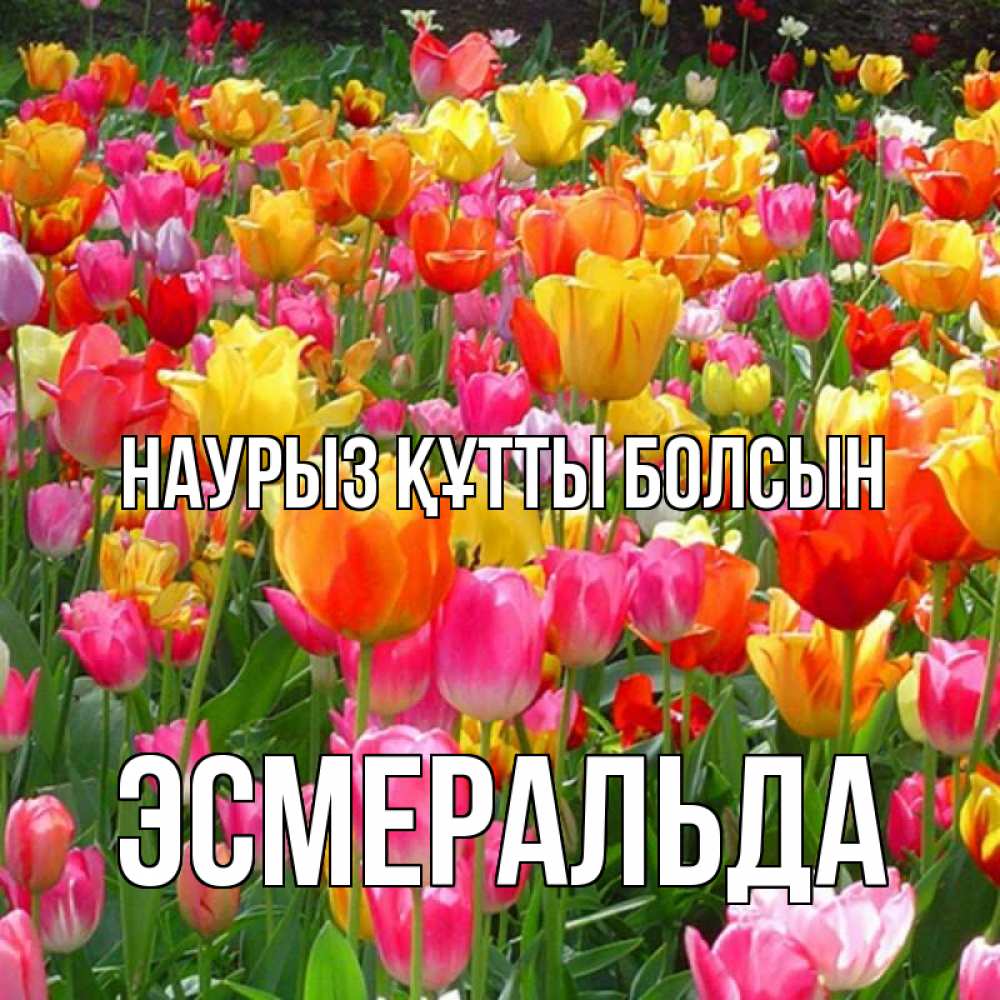 Күн сайын ашық хат с именем, Эсмеральда Наурыз құтты болсын на наурыз  ура ура Онлайн тегін жүктеп алу тілектері бар керемет карта 