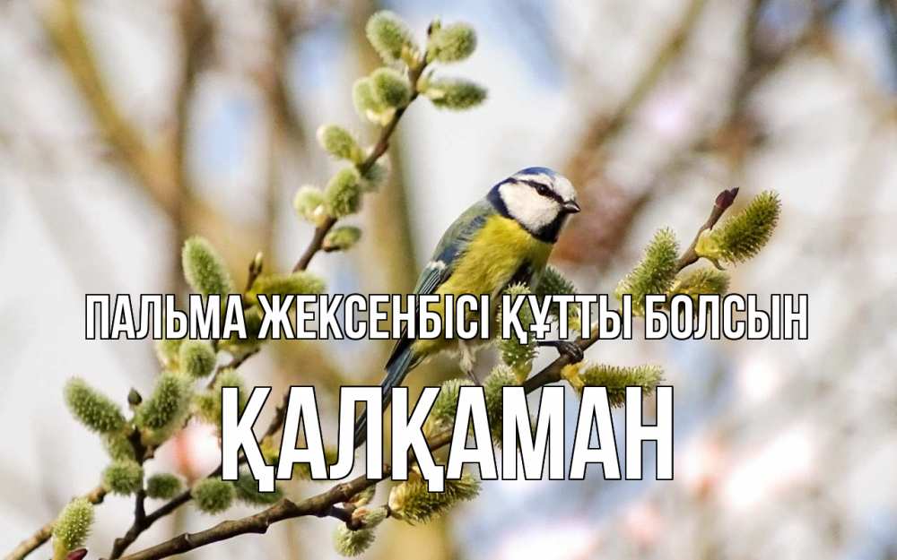 Күн сайын ашық хат с именем, Қалқаман Пальма жексенбісі құтты болсын верба Онлайн тегін жүктеп алу тілектері бар керемет карта 
