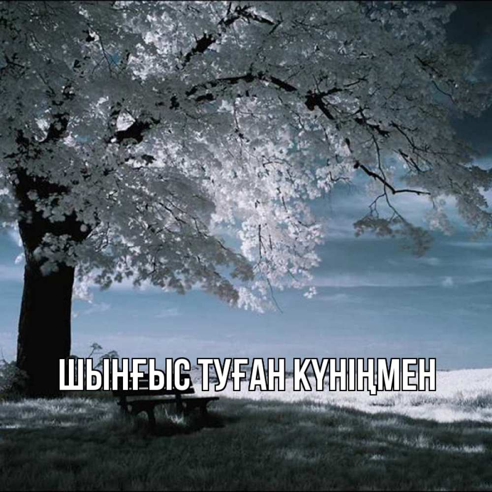 Картинка  с именем , ШЫНҒЫС! ТУҒАН КҮНІҢМЕН!