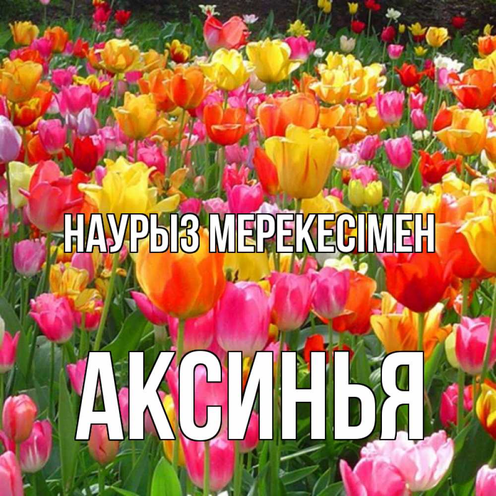 Күн сайын ашық хат с именем, Аксинья Наурыз мерекесімен праздник весны наурыз 4 Онлайн тегін жүктеп алу тілектері бар керемет карта 