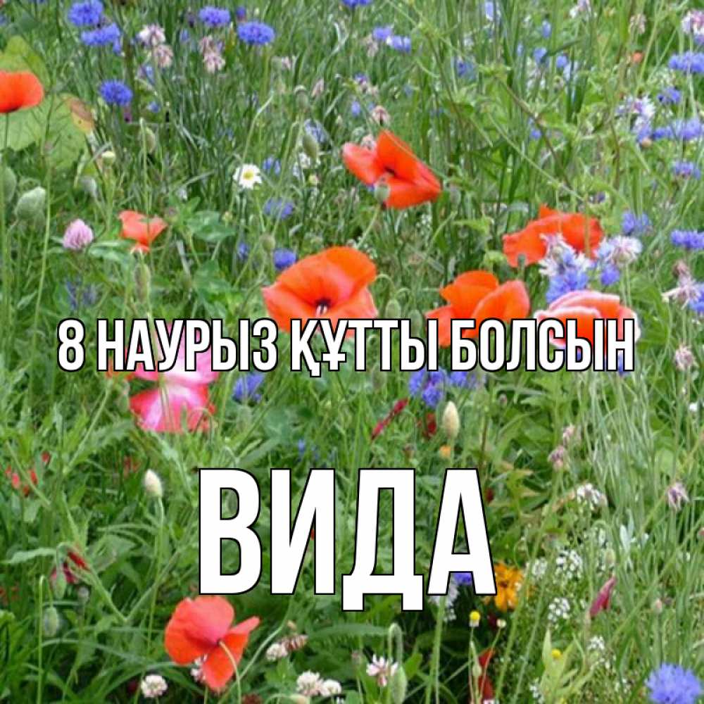 Күн сайын ашық хат с именем, Вида 8 наурыз құтты болсын международный женский день 4 Онлайн тегін жүктеп алу тілектері бар керемет карта 