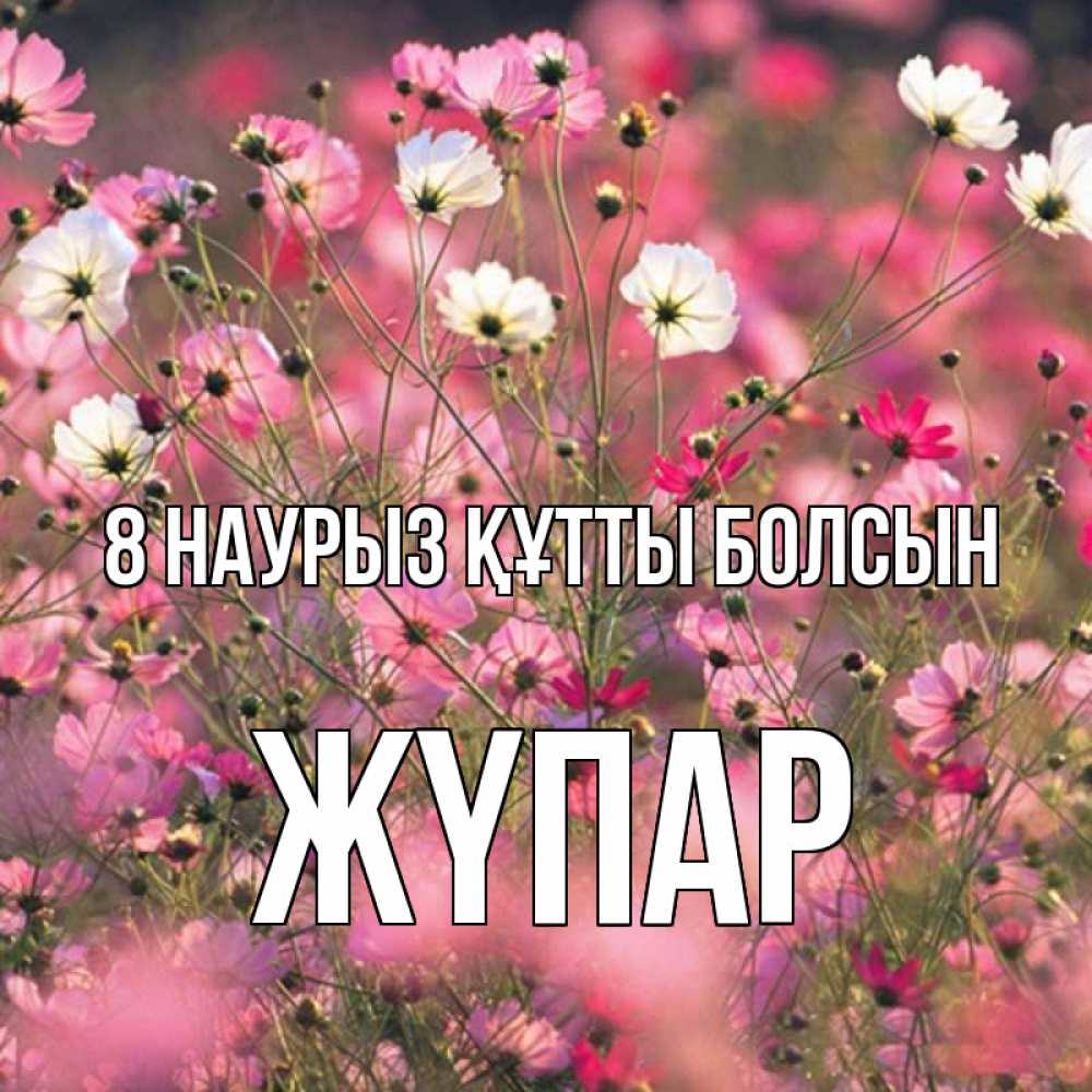 Күн сайын ашық хат с именем, ЖҮПАР 8 наурыз құтты болсын красиво 1 Онлайн тегін жүктеп алу тілектері бар керемет карта 