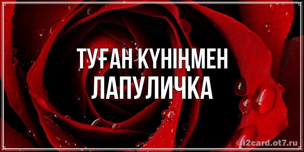 Күн сайын ашық хат с именем, Лапуличка Туған күніңмен крупная бордовая роза Онлайн тегін жүктеп алу тілектері бар керемет карта 