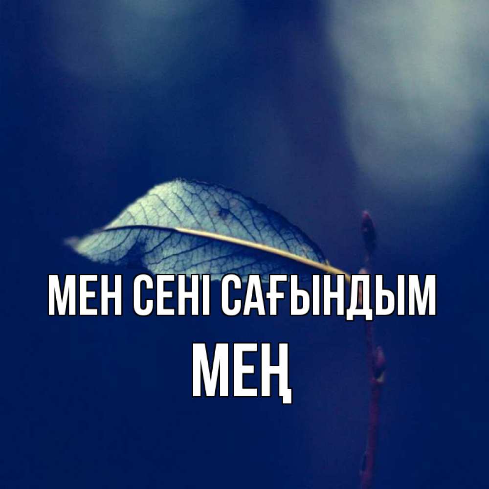 Күн сайын ашық хат с именем, МЕҢ Мен сені сағындым одна ветка 1 Онлайн тегін жүктеп алу тілектері бар керемет карта 