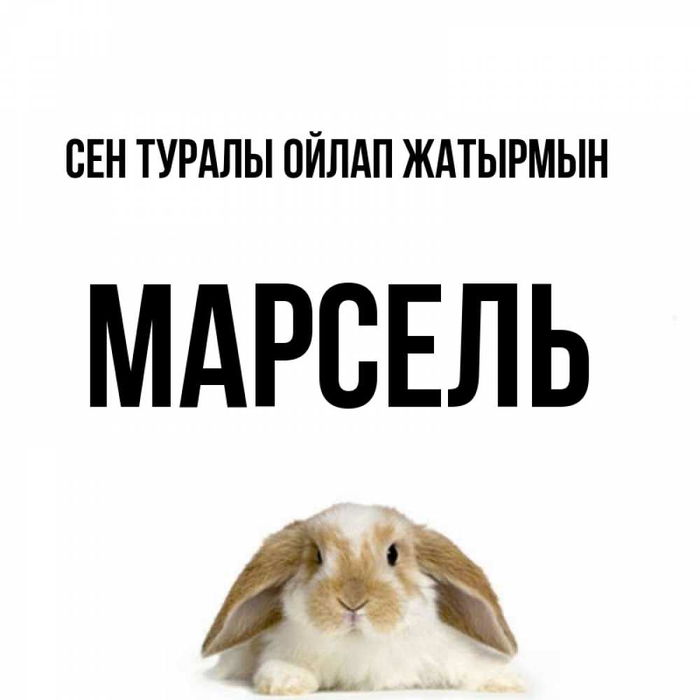 Күн сайын ашық хат с именем, Марсель Сен туралы ойлап жатырмын подписать своими руками онлайн Онлайн тегін жүктеп алу тілектері бар керемет карта 