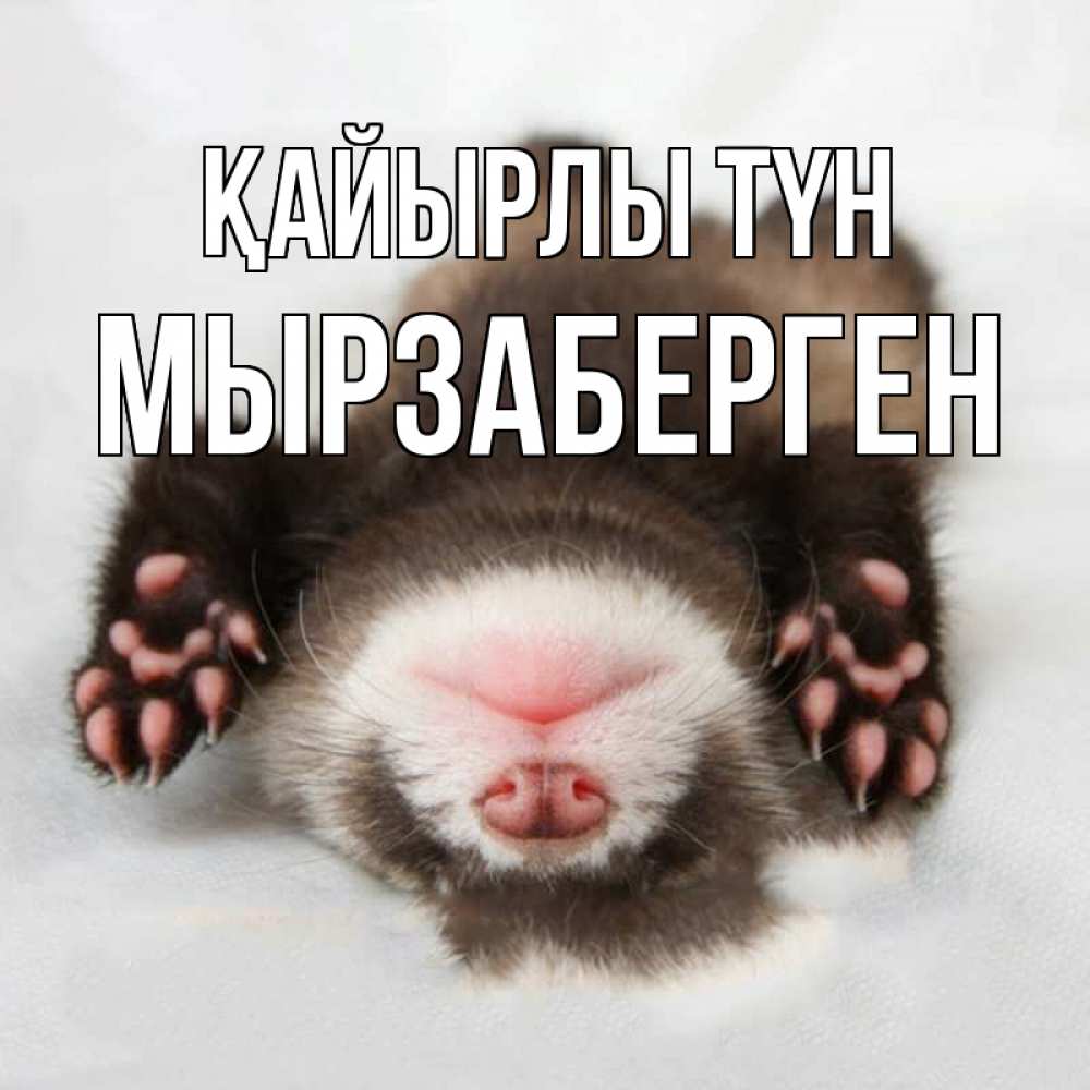 Күн сайын ашық хат с именем, Мырзаберген Қайырлы түн зверек Онлайн тегін жүктеп алу тілектері бар керемет карта 