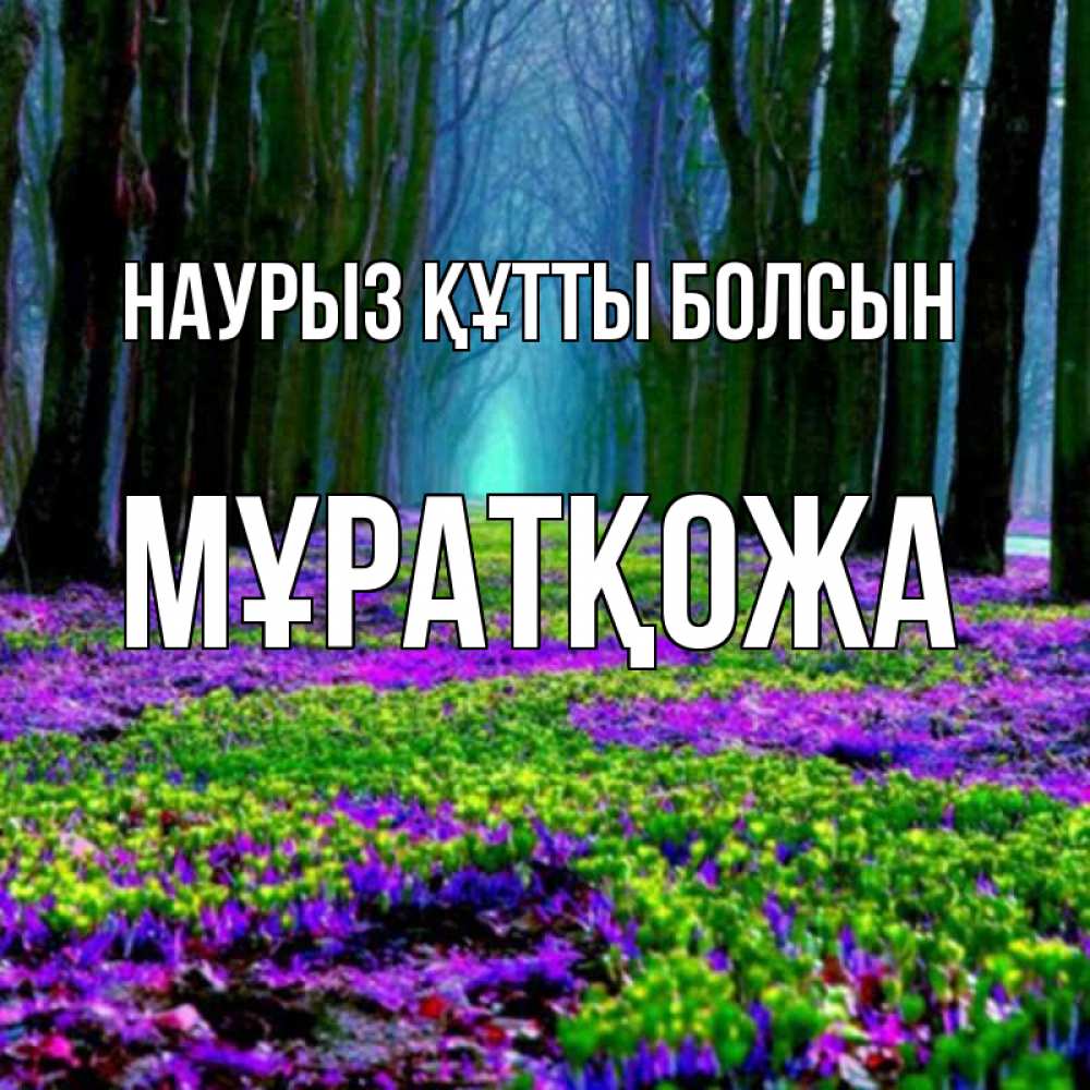 Күн сайын ашық хат с именем, Мұратқожа Наурыз құтты болсын фиолетовые цветы в лесу 1 Онлайн тегін жүктеп алу тілектері бар керемет карта 