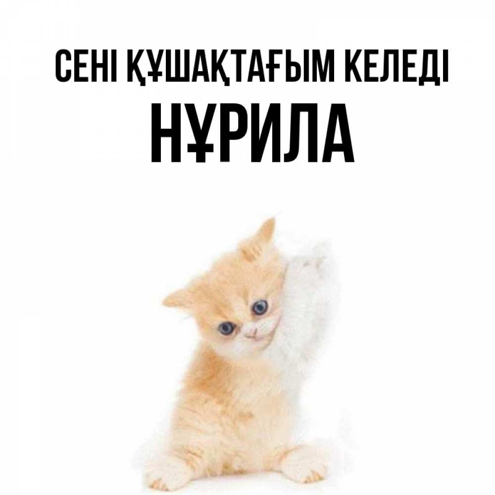 Күн сайын ашық хат с именем, НҰРИЛА сені құшақтағым келеді я хочу очень скорее обнимаешек Онлайн тегін жүктеп алу тілектері бар керемет карта 