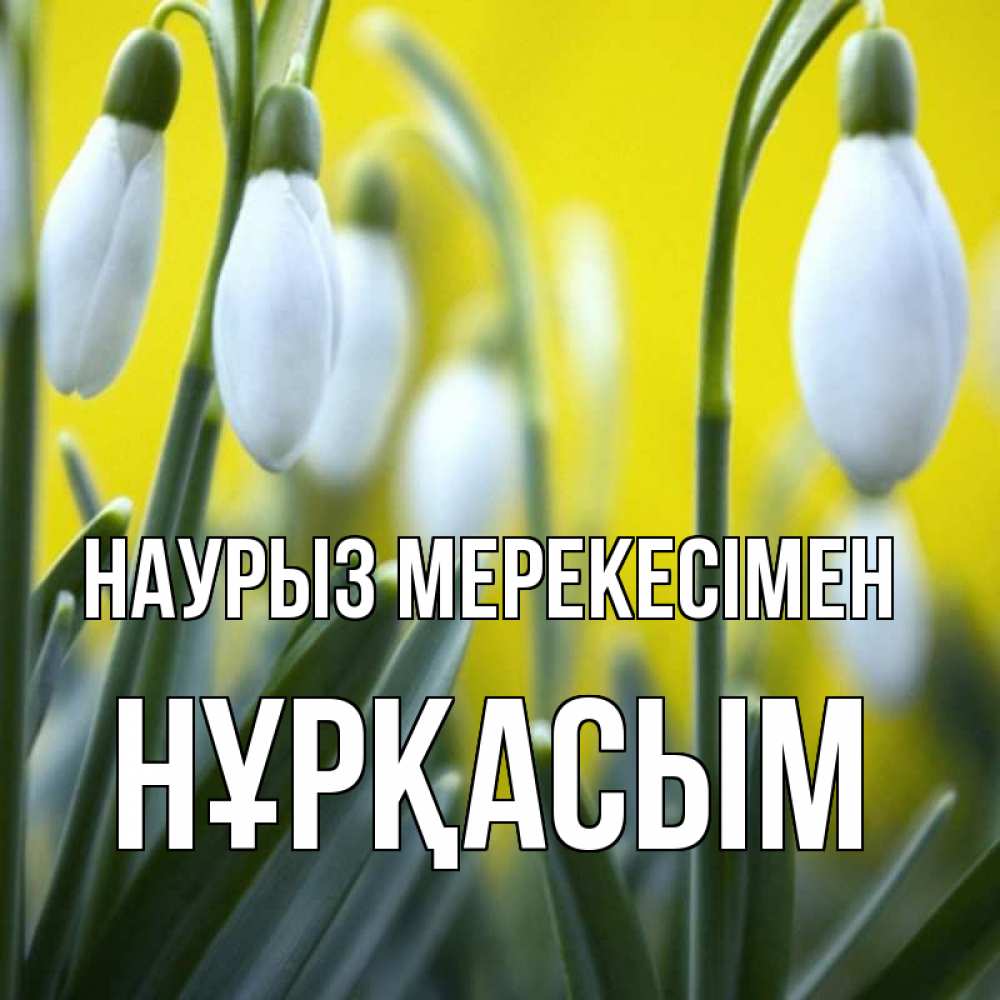 Күн сайын ашық хат с именем, НҰРҚАСЫМ Наурыз мерекесімен весенние цветы Онлайн тегін жүктеп алу тілектері бар керемет карта 