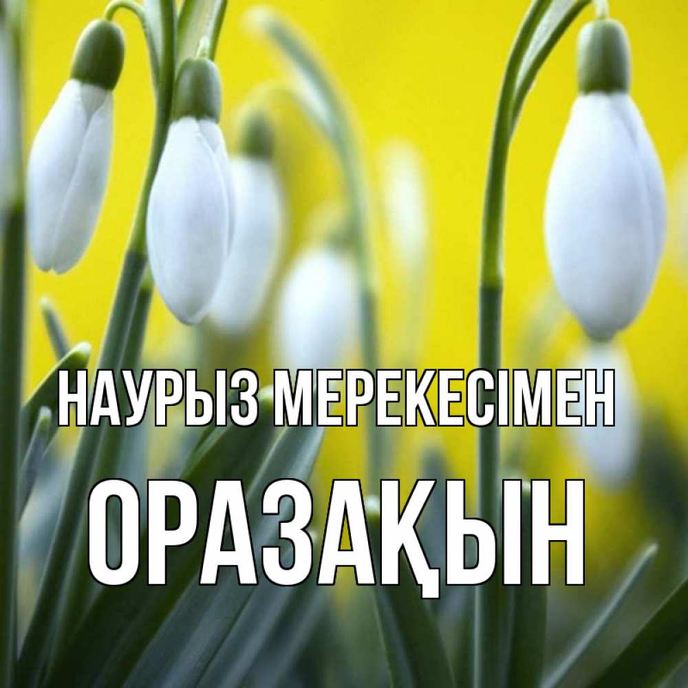 Күн сайын ашық хат с именем, ОРАЗАҚЫН Наурыз мерекесімен весенние цветы Онлайн тегін жүктеп алу тілектері бар керемет карта 